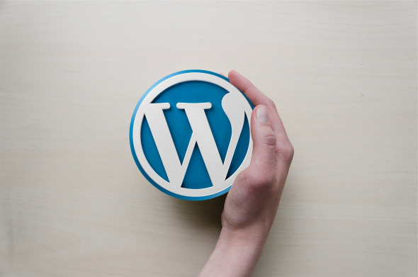 Vulnerabilità WordPress: Aggiornamento del mese di Giugno